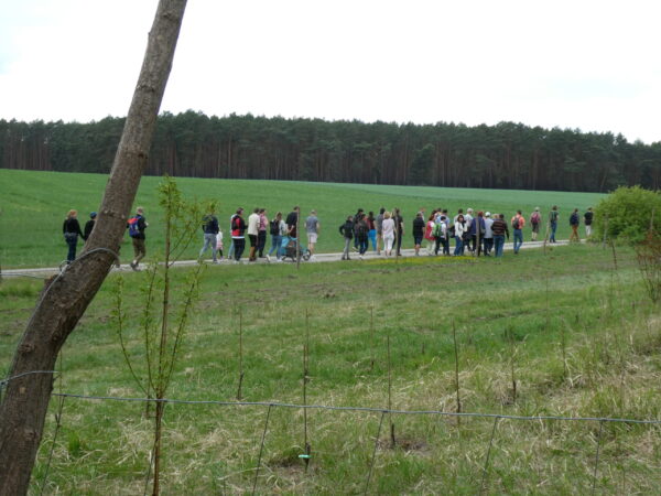 Achtsame Weinwanderung 20.07.2025